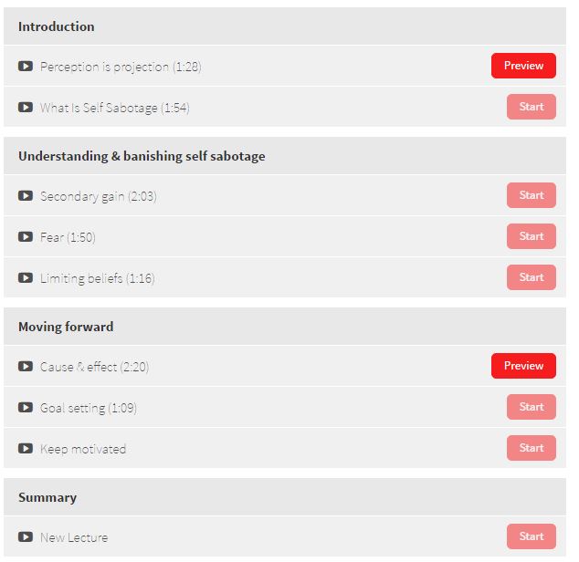 Banish Self Sabotage Business Coaching Journal Academy